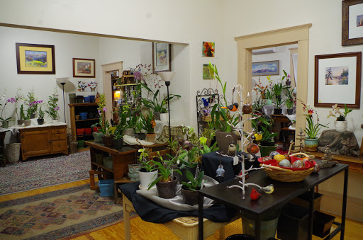 Florist «Island Orchids», reviews and photos, 2204 W Colorado Ave, Colorado Springs, CO 80904, USA