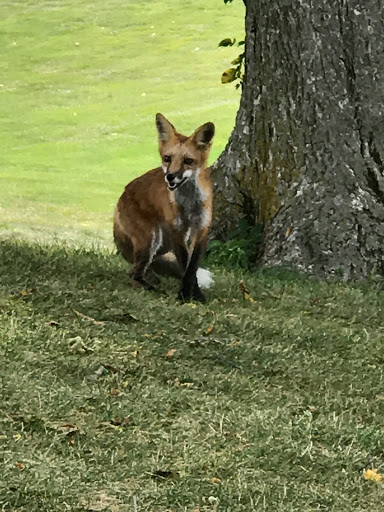 Golf Course «Woodland Hills Golf Course», reviews and photos, 620 NE 66th Ave, Des Moines, IA 50313, USA