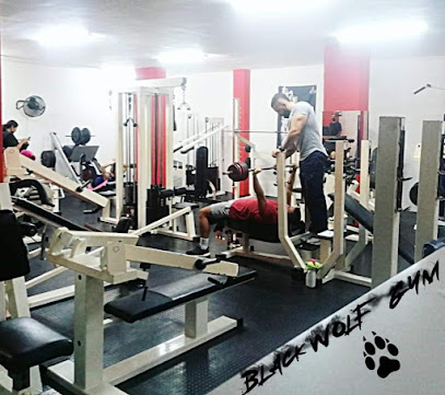 Black Wolf Gym - Cl. del Dr. Rafael Garcia Perez, 25, Local 12 bajo, 35014 Las Palmas de Gran Canaria, Las Palmas, Spain