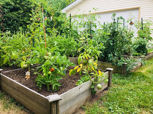 Property Management Company «Reilly Painting & Contracting, Reilly Properties», reviews and photos