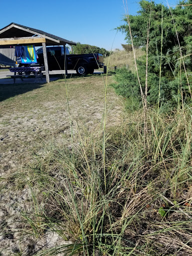 Campground «Pirateland Family Camping Resort», reviews and photos, 5401 S Kings Hwy, Myrtle Beach, SC 29575, USA