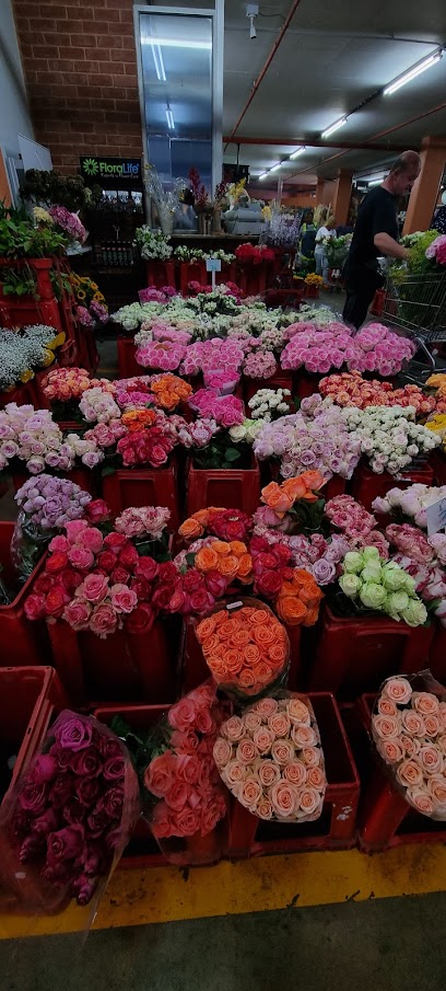 Alsmeer Flower Distributors