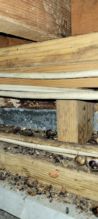 RB&PC Rodent Control - Photo 3 - Car repair in Hollister, CA, Gilroy