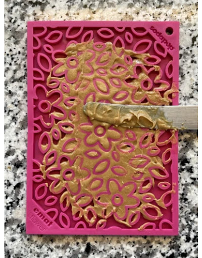 Pet Supply Store «The Pet Beastro», reviews and photos, 27637 John R Rd, Madison Heights, MI 48071, USA