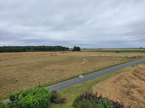 Site du champ de bataille - 1346 à Crécy-en-Ponthieu