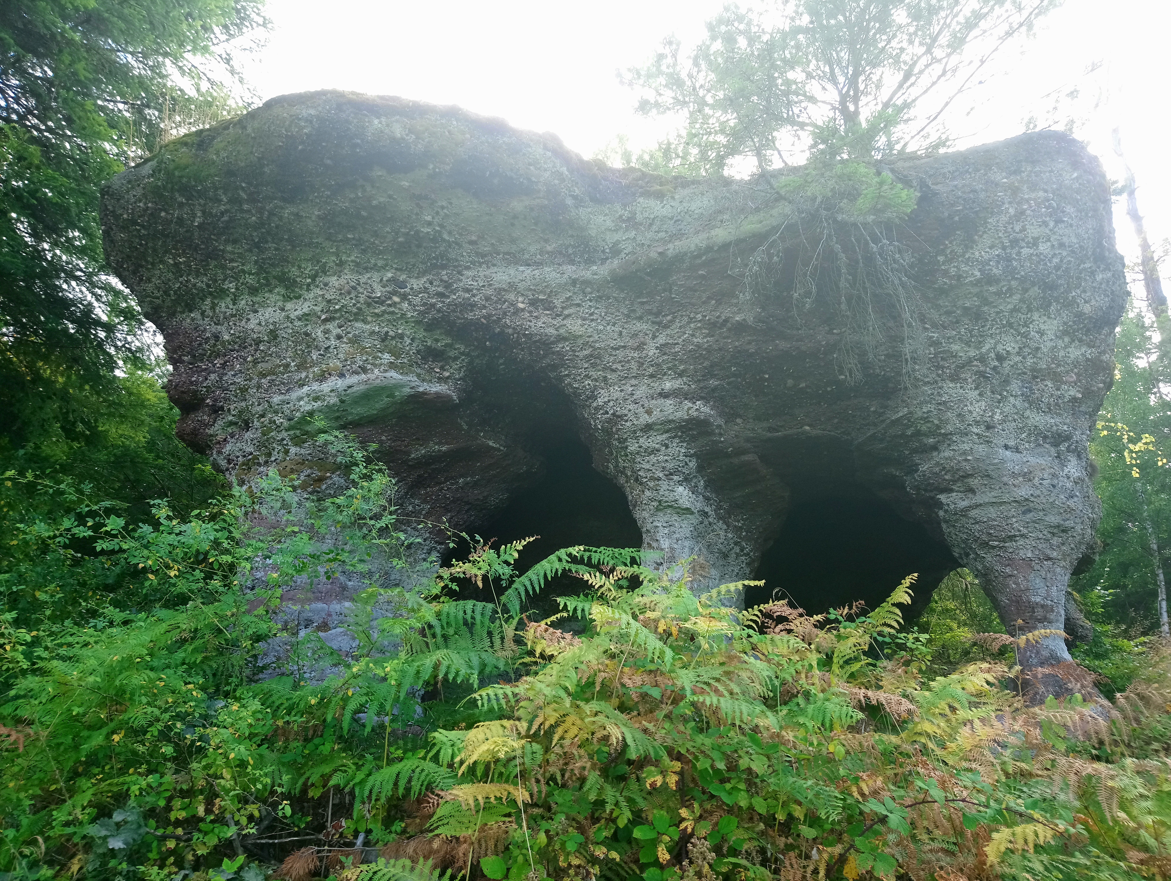 Photo n° 1 de l'avis de Dominique.a fait le 30/07/2019 à 15:16