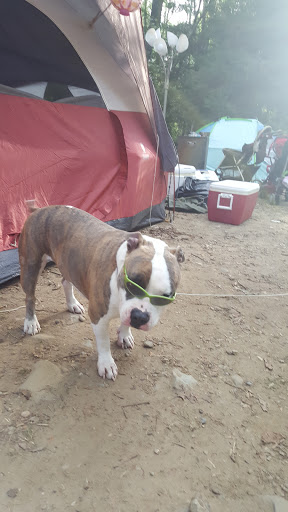 Campground «Boston / Cape Cod KOA Holiday», reviews and photos, 438 Plymouth St, Middleborough, MA 02346, USA