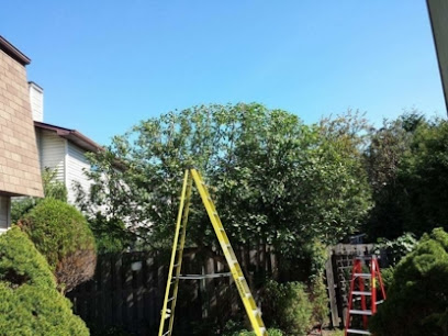 Arbor-All Tree Services
