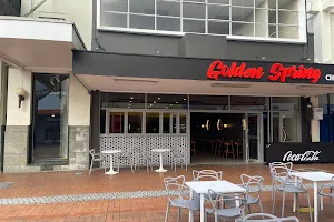 Golden Spring chinese restaurant and takeaway image