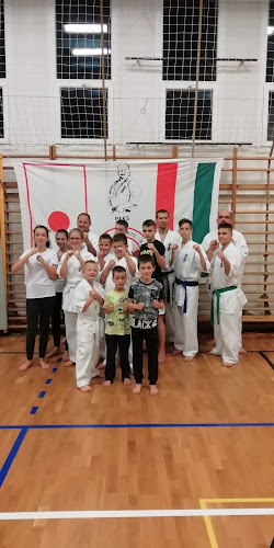 Értékelések erről a helyről: Atomerőmű SE Bulldog Kyokushin Karate Szakcsoport, Paks - Edzőterem