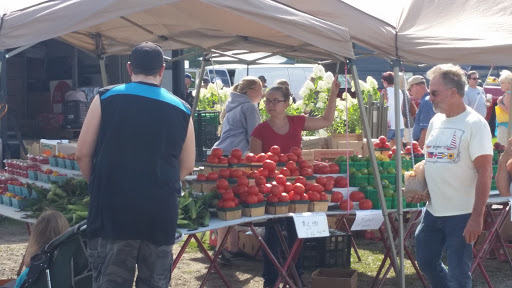 Flea Market «Armada Flea Market», reviews and photos, 25381 Armada Ridge Rd, Richmond, MI 48062, USA