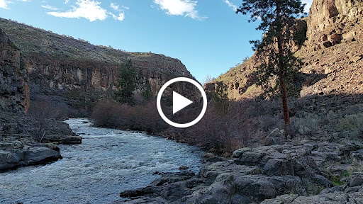 Mortgage Broker «Stonebridge Mortgage Group Inc.», reviews and photos