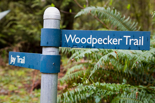 Non-Profit Organization «Audubon Society of Portland», reviews and photos, 5151 NW Cornell Rd, Portland, OR 97210, USA