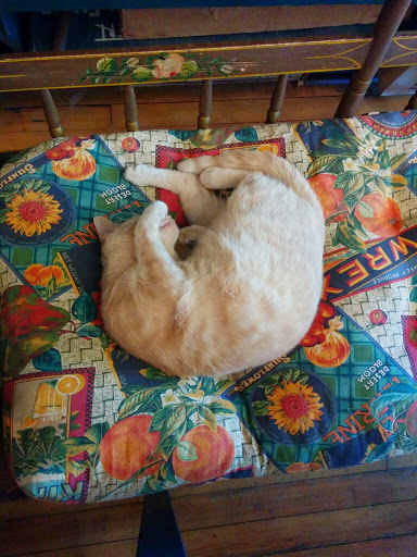 Cafe «Stedman Cafe», reviews and photos, 6335 Magnolia-Stedman Rd, Mayville, NY 14757, USA