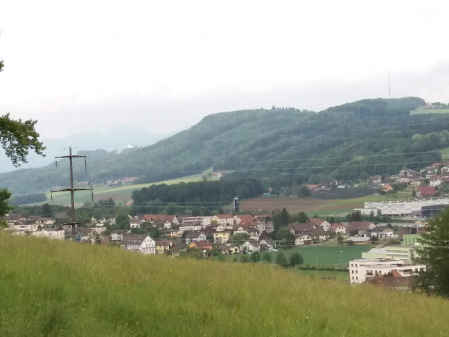 Chriesigasse, 5745 Safenwil, Schweiz