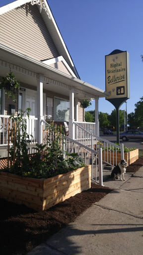 Bellerive Veterinary Hospital Inc image