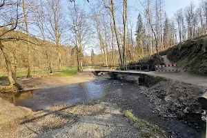 Wanderbrücke Eifgenbach image