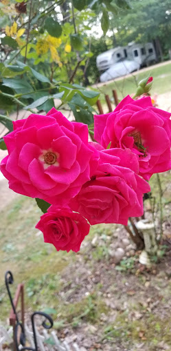 Cabin Rental Agency «Dixieland Cabins», reviews and photos, 1613 Donelson Pkwy, Dover, TN 37058, USA