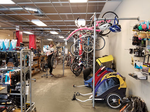 Bicycle Shop «Recovery Bike Shop», reviews and photos