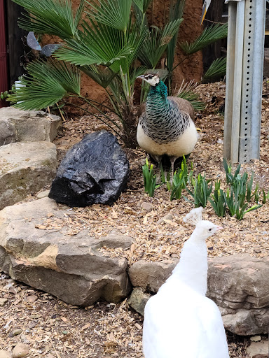 Pet Store «Ponds & Plants», reviews and photos