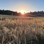 Photo n°1 de l'avis de Dirk.c fait le 13/07/2022 à 05:52 sur le  Agriturismo Ca' Verdeselle à Fermignano