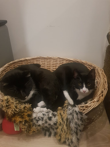 Dirk Markmann unter Salzgitter, Niedersachsen