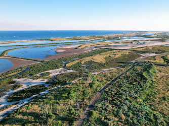 Altona Foreshore Reserve