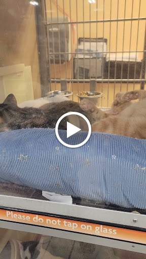 Pet Supply Store «Petco Animal Supplies», reviews and photos, 8100 W Crestline Ave d, Littleton, CO 80123, USA