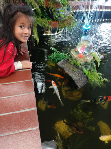 Pet Store «Animal Lovers Pet Shop», reviews and photos, 24028 Vista Montana, Torrance, CA 90505, USA