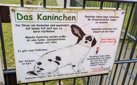 Tiergehege im Herminghauspark image