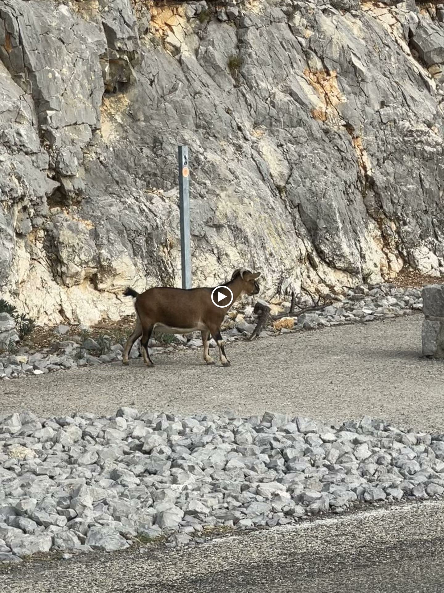 Photo n° 2 de l'avis de Vanessa. fait le 20/09/2023 à 15:27