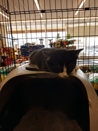 Pet Store «Pet World Warehouse Outlet», reviews and photos, 2984 S 108th St, Milwaukee, WI 53227, USA