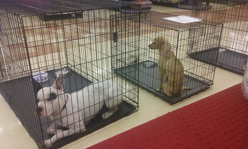 Pet Supply Store «Petco Animal Supplies», reviews and photos, 9603 North Sam Houston Pkwy E, Humble, TX 77396, USA