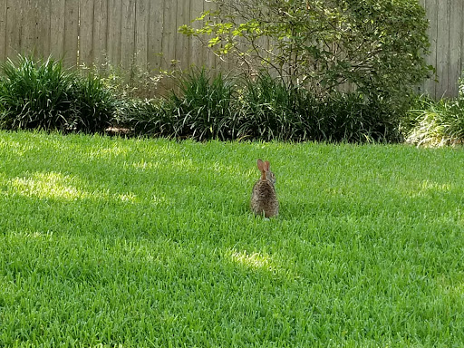 Country Club «Houston Country Club», reviews and photos, 1 Potomac Dr, Houston, TX 77057, USA