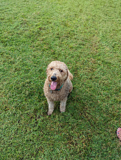 Recreation Center «Carrollwood Meadows Rec Center», reviews and photos, 13918 Farmington Blvd, Tampa, FL 33625, USA