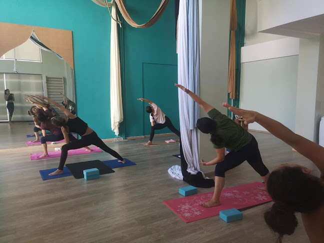 An3mos Aerial Academy - Σχολείο