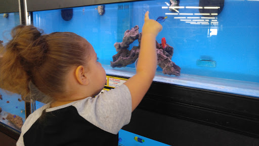 Pet Supply Store «Pet Fun At Harden Ranch Plz», reviews and photos, 1780 N Main St, Salinas, CA 93906, USA