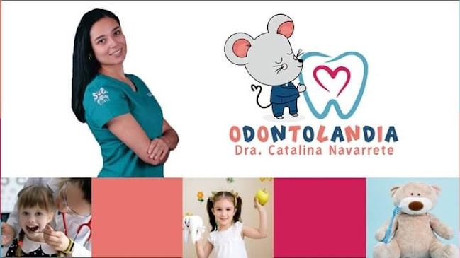 Opiniones de Odontolandia en Ambato - Dentista