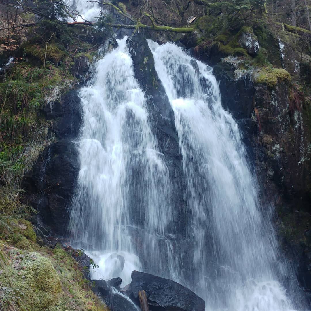 Photo n° 2 de l'avis de Peggy.e fait le 14/02/2019 à 09:36