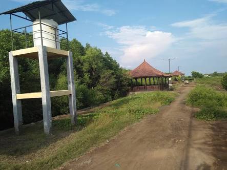Wisata Tanaman Mangrove Kecamatan Nguling Kabupaten Pasuruan