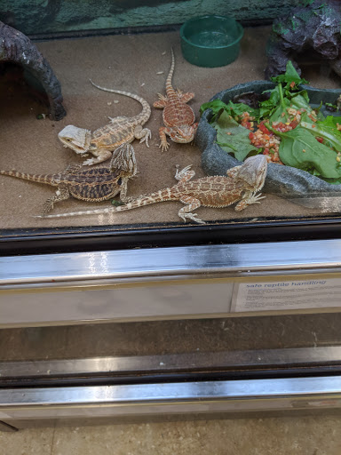 Pet Supply Store «Petco Animal Supplies», reviews and photos, 1215-1309 NJ-33 #1, Hamilton Township, NJ 08690, USA