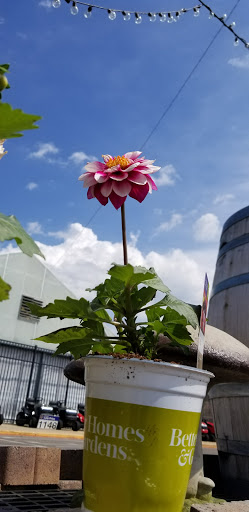 Shopping Mall «Southern Hills Shopping Ctr», reviews and photos, 1307 Southern Hills Center, West Plains, MO 65775, USA