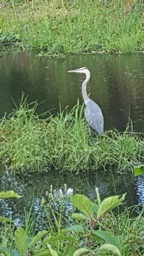 Golf Course «King Rail Reserve Golf Course», reviews and photos, 1 King Rail Dr, Lynnfield, MA 01940, USA