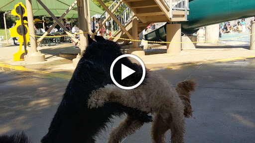 Recreation Center «Oak Point Recreation Center», reviews and photos, 6000 Jupiter Rd, Plano, TX 75074, USA