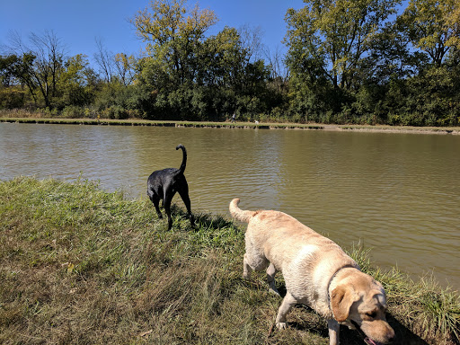 Dog Park «Beck Lake Off-Leash Dog Area», reviews and photos, 9700 Gloria Ct, Glenview, IL 60025, USA