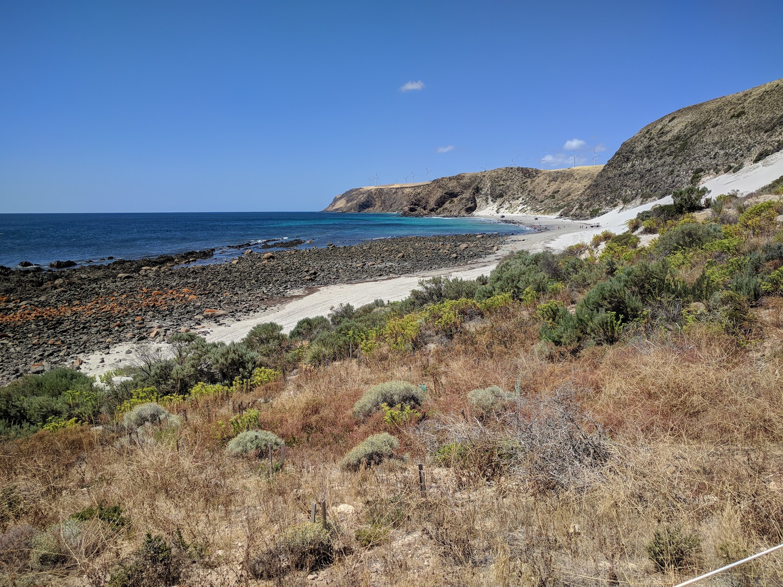 Morgans Beach的照片 位于自然区域