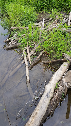 Park «Harford Glen Park», reviews and photos, 502 W Wheel Rd, Bel Air, MD 21015, USA