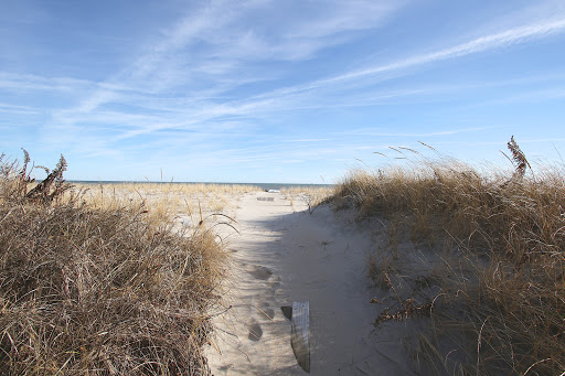 Real Estate Agency «Joy Luedtke Real Estate LLC», reviews and photos, 1907 Bayview Ave, Barnegat Light, NJ 08006, USA