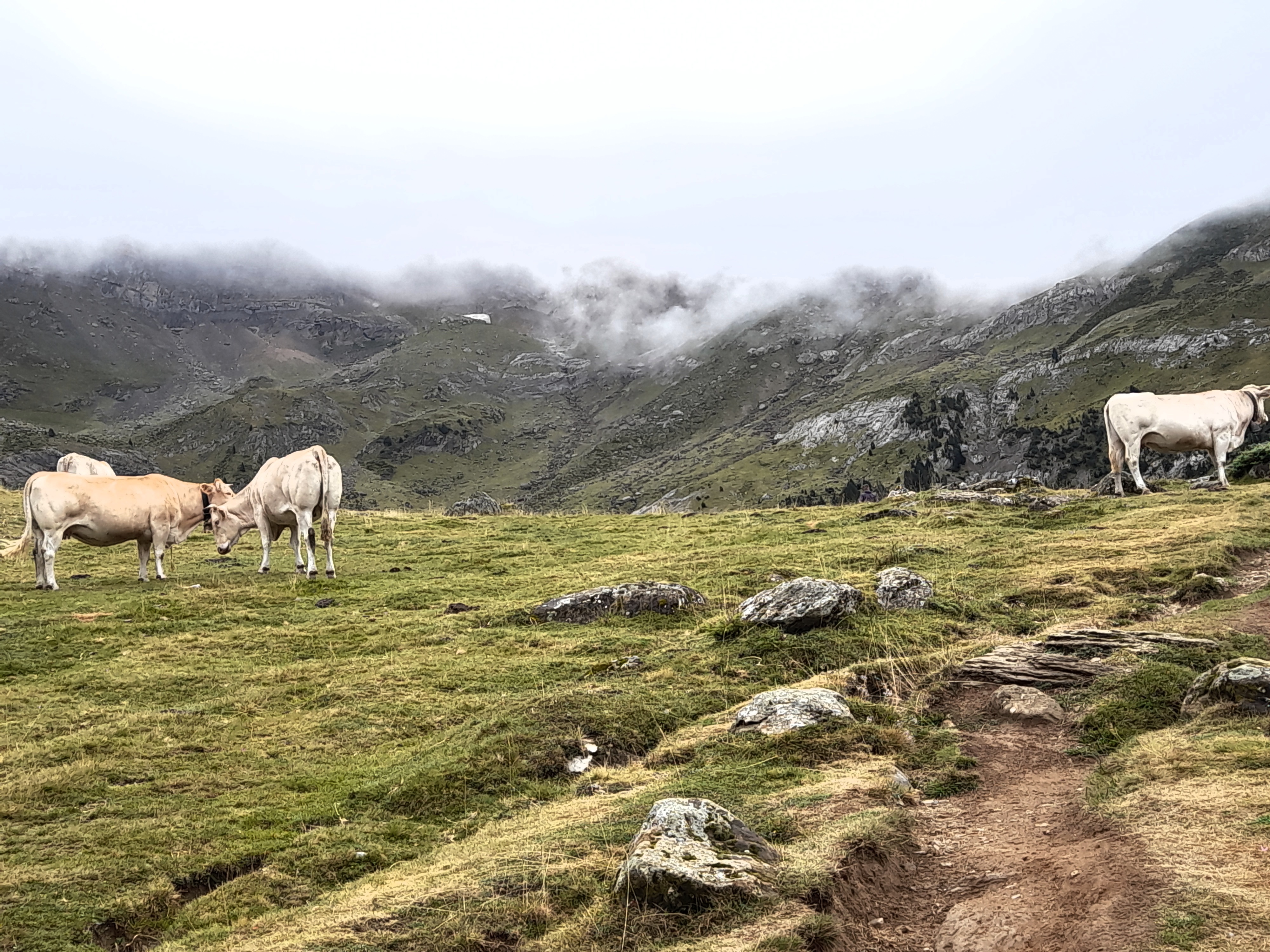 Photo n° 8 de l'avis de Jola.r fait le 29/08/2020 à 16:46