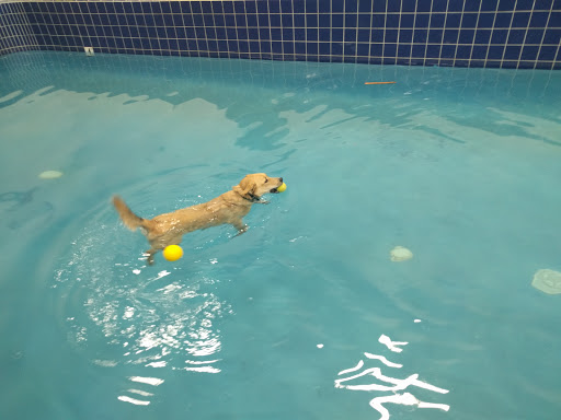 Pet Supply Store «Pet Depot Inc», reviews and photos, 2151 Greenspring Dr, Lutherville-Timonium, MD 21093, USA